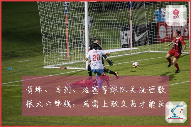 黄蜂、马刺、活塞等球队关注密歇根大六锋线,或需上涨交易才能获得